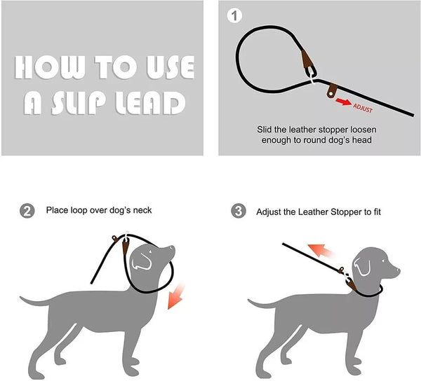 Puppy Dog Training Slip Rope Dog Lead Strong Nylon Training Walking Leash 6-10mm