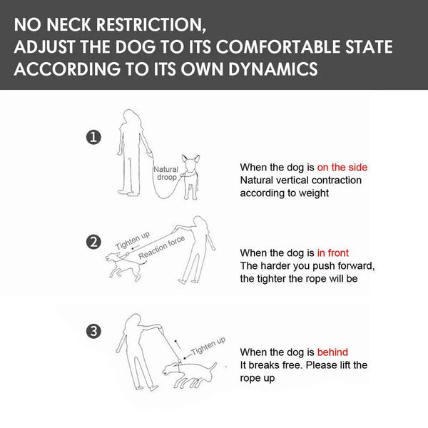 Puppy Dog Training Slip Rope Dog Lead Strong Nylon Training Walking Leash 6-10mm