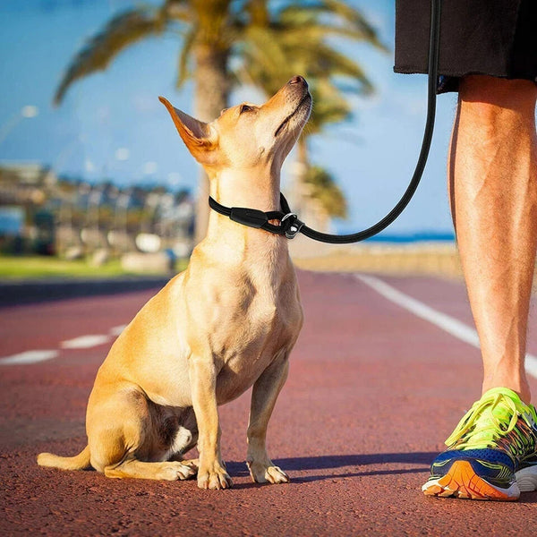 Puppy Dog Training Slip Rope Dog Lead Strong Nylon Training Walking Leash 6-10mm