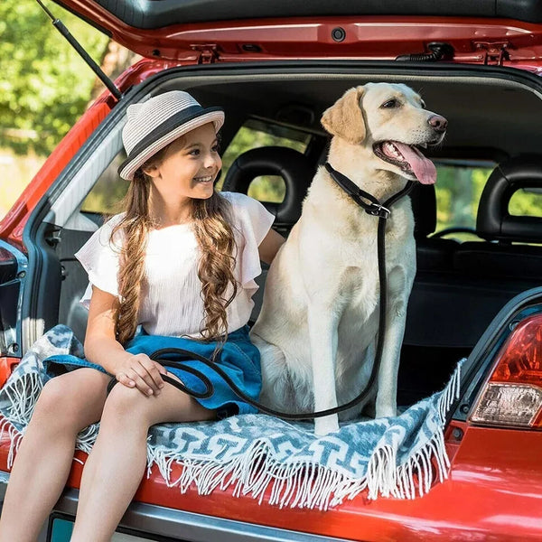 Puppy Dog Training Slip Rope Dog Lead Strong Nylon Training Walking Leash 6-10mm