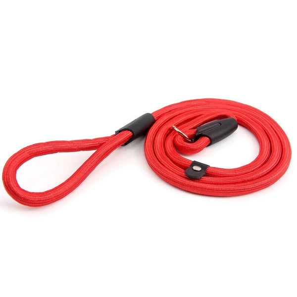 Puppy Dog Training Slip Rope Dog Lead Strong Nylon Training Walking Leash 6-10mm