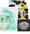files/681a4ca9316a4d63ffe4c0d2.png