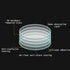 files/681a4fb7316a4d63ffe5e36b.png