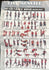 files/681a514b316a4d63ffe68377.png